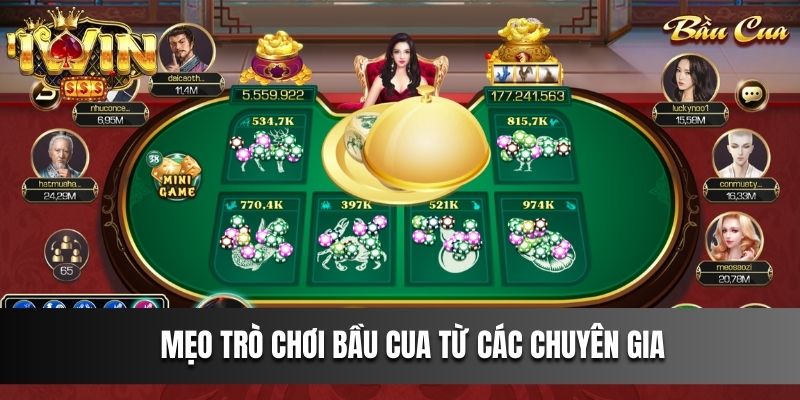 Mẹo trò chơi Bầu cua từ các chuyên gia